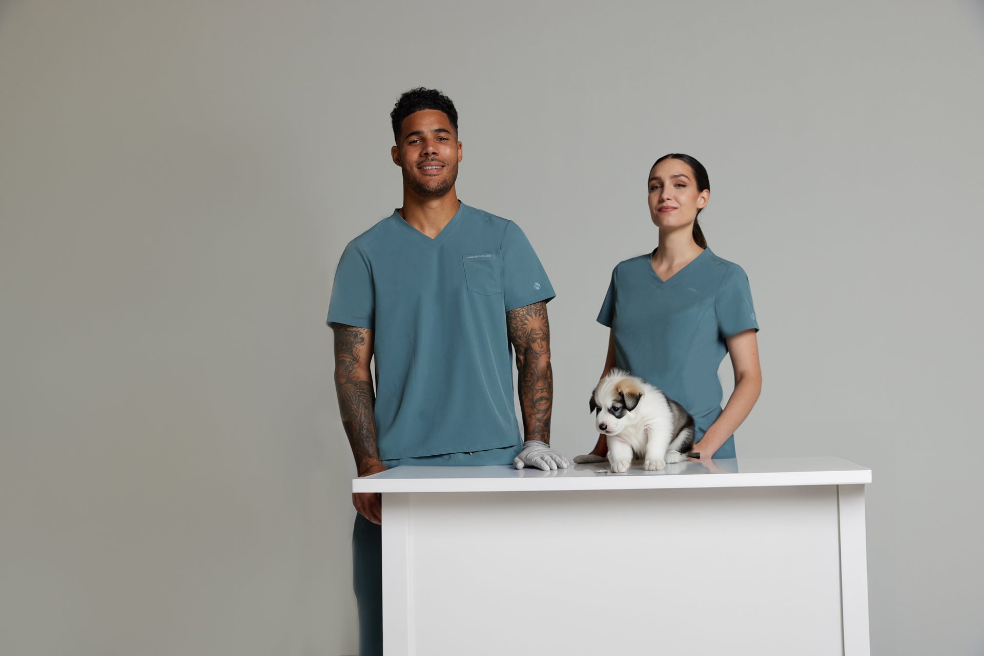 Elevating Veterinary Care: New Partnership with Vetcelerator